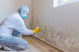 Why You Should Choose Our Mold Remediation Services in The Village Of Indian Hill, OH